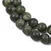 Natural Gemstone Beads Z0SRR015-6
