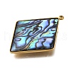 304 Stainless Steel Pave Natural Paua Shell Pendants X-STAS-Z125-01D-G-2