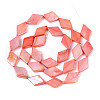 Dyed Natural Freshwater Shell Beads Strands SHEL-T020-13F-2