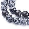 Natural Snowflake Obsidian Beads Strands GSR10mmC009-2