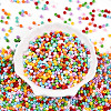 Baking Paint Glass Seed Beads SEED-N007-02C-2