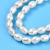 Natural Cultured Freshwater Pearl Beads Strands PEAR-N012-03Q-4