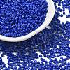 Baking Paint Glass Seed Beads SEED-S001-01-1