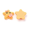 Resin Cabochons CRES-J043-05E-2