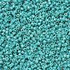 MIYUKI Delica Beads SEED-J020-DB0166-1