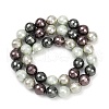 Faceted Round Shell Pearl Beads Strands BSHE-XCP0001-68A-2