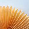 Paper Fan AJEW-WH0005-25cm-12-1