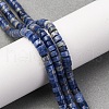Natural Sodalite Beads Strands G-H230-72-1