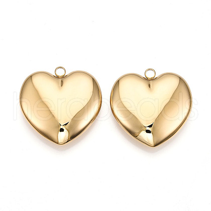 304 Stainless Steel Big Pendants STAS-T064-65G-1
