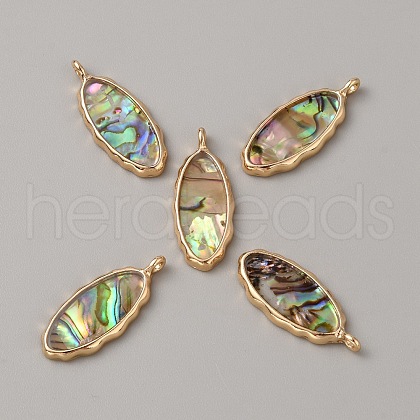 Resin Imitation Abalone Paua Shell Pendants FIND-WH0417-12A-1
