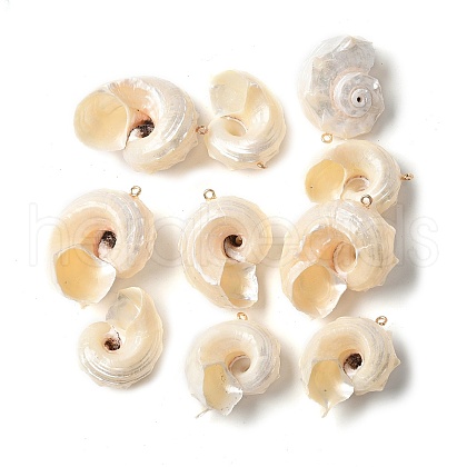 Natural Sea Shell Pendants X-SSHEL-C013-03-1
