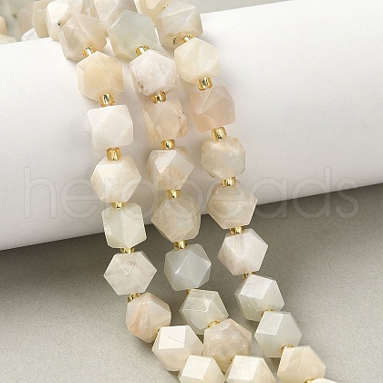Natural Moonstone Beads Strands G-G271-A02-01-1