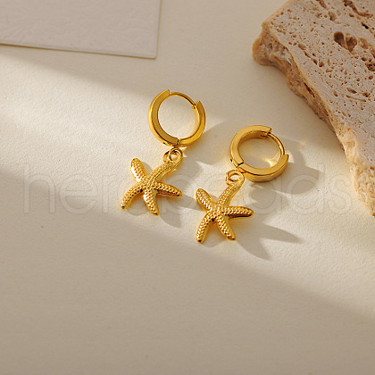 304 Stainless Steel Hoop Earrings FS-WG28AB1-01-1