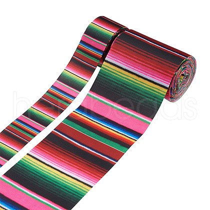 2 Rolls 2 Styles Stripe Pattern Printed Polyester Grosgrain Ribbon OCOR-TA0001-37A-1
