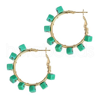 201 Stainless Steel Acrylic Hoop Earrings FS-WG443EA-03-1