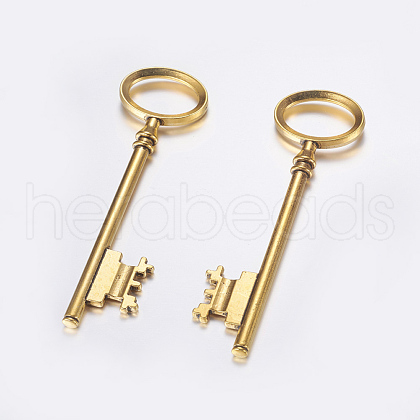 Tibetan Style Alloy Skeleton Key Large Pendants TIBEP-S105-AG-RS-1