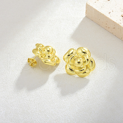 Brass Stud Earrings for Women EJEW-F365-03LG-1