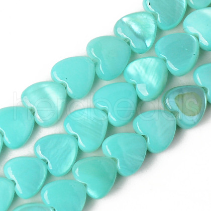 Spray Painted Natural Freshwater Shell Beads Strands SHEL-N026-69C-1