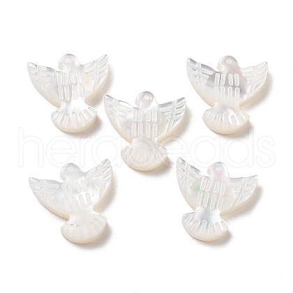 Natural Shell Beads BSHE-H017-02-1