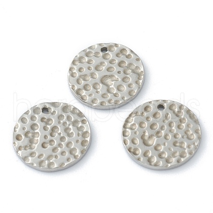 Non-Tarnish 304 Stainless Steel Charms STAS-O145-09P-1