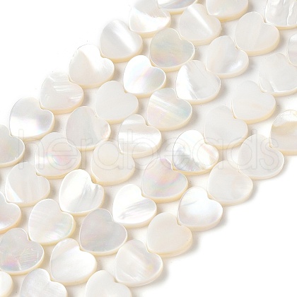 Natural White Shell Beads Strands SSHEL-C013-06-1