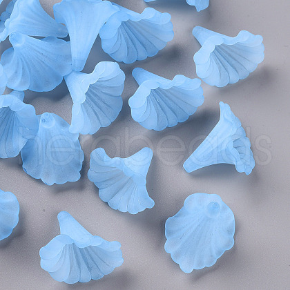 Transparent Acrylic Beads BSF796-C27-1