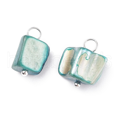 Natural Freshwater Shell Charms PALLOY-JF01352-01-1