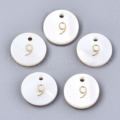 Natural Freshwater Shell Charms SHEL-Q023-09-1