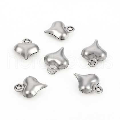 Non-Tarnish 304 Stainless Steel Charms STAS-I149-05B-P-1