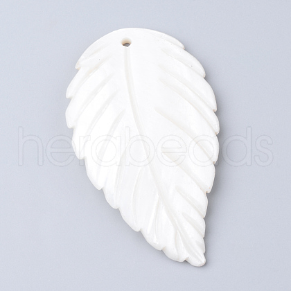 Freshwater Shell Big Pendants X-SHEL-S249-02-1