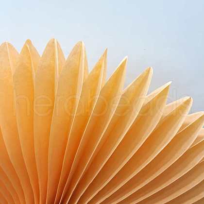 Paper Fan AJEW-WH0005-25cm-12-1