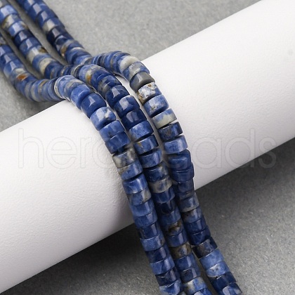 Natural Sodalite Beads Strands G-H230-72-1