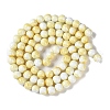 Baking Paint Glass Bead Strands GLAA-H031-01C-03-3