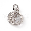 Brass Micro Pave Cubic Zirconia Charms ZIRC-F132-61P-2