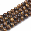 Natural Tiger Eye Beads Strands G-S333-14mm-001-1