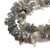 Natural Labradorite Beads Strands G-P332-23-5