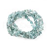 Natural Apatite Beads Strands X-G-F666-01B-01-2