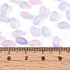 Frosted Glass Seed Beads SEED-N008-05G-4