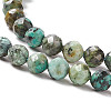 Natural African Turquoise(Jasper) Beads Strands G-F717-01-4