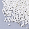 11/0 Grade A Glass Seed Beads SEED-S030-0211-2