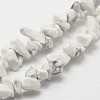 Natural Howlite Beads Strand G-F328-05-3