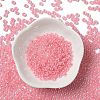 Glass Seed Beads SEED-H002-E-A1409-2