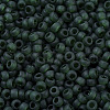 MIYUKI Round Rocailles Beads SEED-G007-RR0156F-3