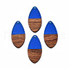 Transparent Resin & Walnut Wood Pendants RESI-N025-032-C03-2