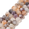 Natural Botswana Agate Beads Strands G-K382-A14-02-2