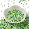 Baking Paint Glass Seed Beads SEED-S042-05A-10-2
