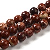 Natural Red Snakeskin Jasper Beads Strands X-G-H298-A02-03-1