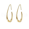 Teardrop Brass Dangle Earrings FS-WG1287F-01-1