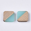 Resin & Walnut Wood Cabochons RESI-S358-A-90H-2