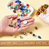 Craftdady 116Pcs Handmade Lampwork Beads LAMP-CD0001-10-6
